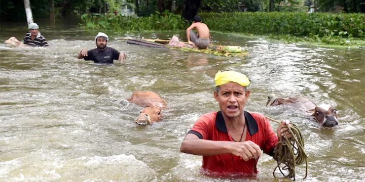 আসামে ভয়াবহ বন্যায় ১৯৫ জনের মৃত্যু